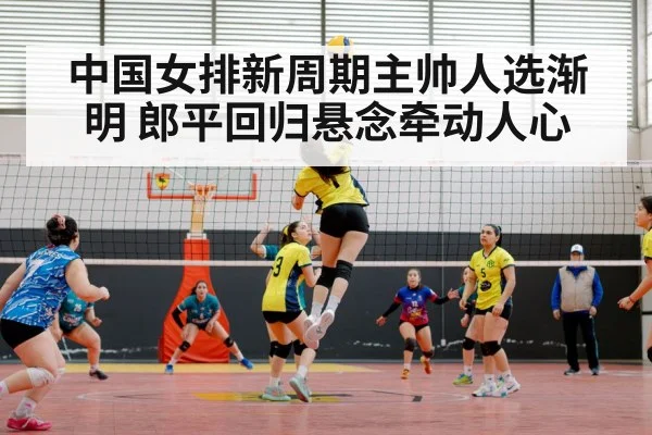 中国女排新周期主帅人选渐明 郎平回归悬念牵动人心