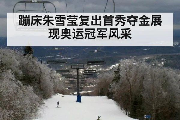 蹦床朱雪莹复出首秀夺金展现奥运冠军风采