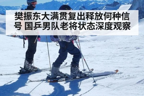 樊振东大满贯复出释放何种信号 国乒男队老将状态深度观察